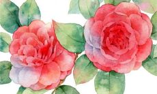 现代陪嫁礼单范本 礼单基本书写要求