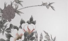 压箱钱是男方给还是女方给 压箱钱是女方的个人财产吗