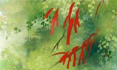 出嫁被子怎么叠怎么捆 叠法与捆法寓意美好