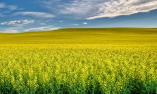 每日五行穿衣2023年1月4日 本日吉利色彩穿搭分析