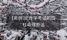[命例]论升学考试的四柱命理断法