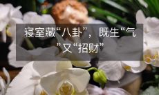 寝室藏“八卦”，既生“气”又“招财”