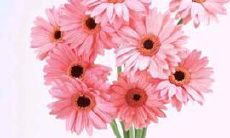 2006年如何招来桃花运？