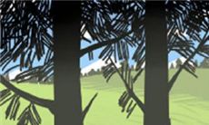 金牛座女生的自拍风格