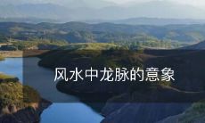 风水中龙脉的意象