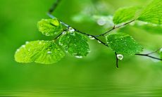 每日五行穿衣2022年11月16日 今日幸运穿搭指南