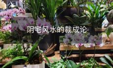 阴宅风水的裁成论