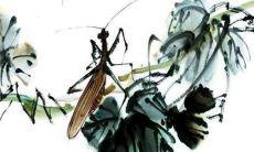 印度彩礼一般给多少 女方需备彩礼给男方