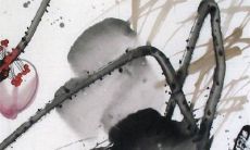 儿子结婚需要准备哪些东西 结婚前要做什么事