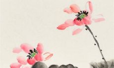 新婚回门的五大禁忌 回门要带什么