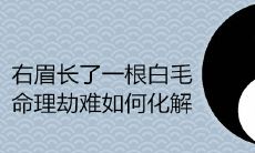 右眉长了一根白毛命理劫难如何化解