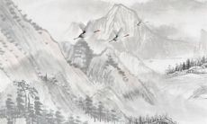 为什么随礼不能随600 随礼多少合适