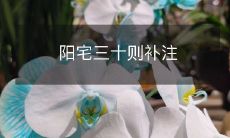 阳宅三十则补注