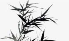 十二生肖小运播报:2023年2月25日特吉生肖一览表