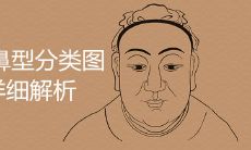 十种鼻型分类图详细解析