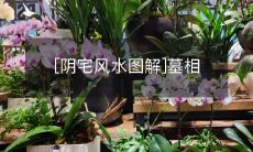 [阴宅风水图解]墓相