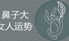 鼻子大的女人说明什么命格运势