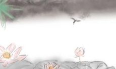 2023年2月23日特吉生肖查询冲煞生肖情况