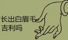 右眉长出白眉毛吉利吗 能拔吗
