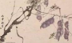 今日特吉生肖：2023年2月20日生肖运势盘点