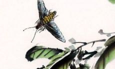 2023年2月15日特吉生肖查询冲煞生肖情况