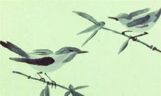 生肖猴在2023年的运势 事业兴旺当心破财