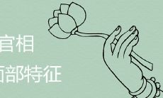 女生带官相的脸有哪些特征