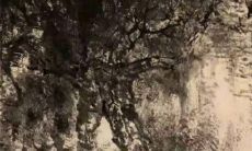 12生肖运势小报2023年2月22日特吉生肖运程详情