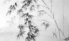 2023年2月24日今日属什么生肖特吉生肖查询