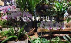 阴宅风水的牝牡论