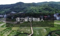 佳穴留与有缘人