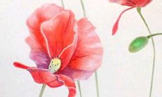 2022年2月13日开张日子好么 商铺营业吉利吗