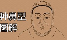 14种鼻型图解哪种是好命面相