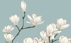 2022年2月9日商铺开张好吗 好日子查询