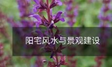 阳宅风水与景观建设