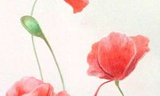 2022年2月12日店铺开业吉利吗 是开张良机吗