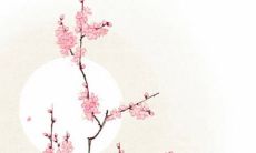 2022年2月15日元宵节开张好吗 今日营业怎么样