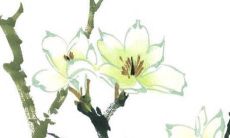 2022年2月14日情人节开张好吗 开业好不好