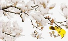 2022年2月11日开张日子吉利吗 当日老黄历查询