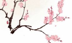 2022年2月16日开张日子好不好 是大吉日子吗