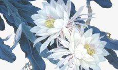 2022年2月22日开张日子好么 商铺营业吉利吗