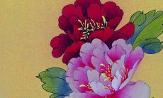 2022年2月24日开张好吗 今日营业怎么样