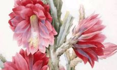 2022年2月26日适合开张吗 开店日子吉利吗