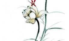 2023年2月27日五行穿衣一览表 今日最旺颜色查询