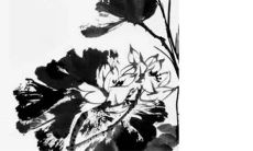 2023年2月20日五行穿衣指南今日衣服颜色搭配查询