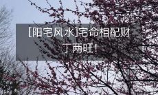 [阳宅风水]宅命相配财丁两旺！