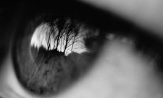 长凤眼是极贵之人吗 富贵眼相有什么