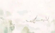 穿衣色彩攻略: 2023年2月13日五行穿衣属性查询