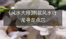 [风水大师]阴居风水行龙寻龙点穴