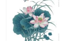 今日五行穿衣:2023年2月26日穿什么颜色旺运势